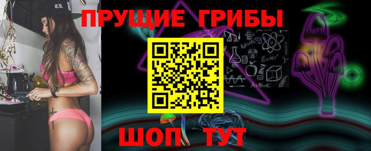Кузнецк  Галлюциногенные грибы GOLDEN TEACHER  Вход с VPN 